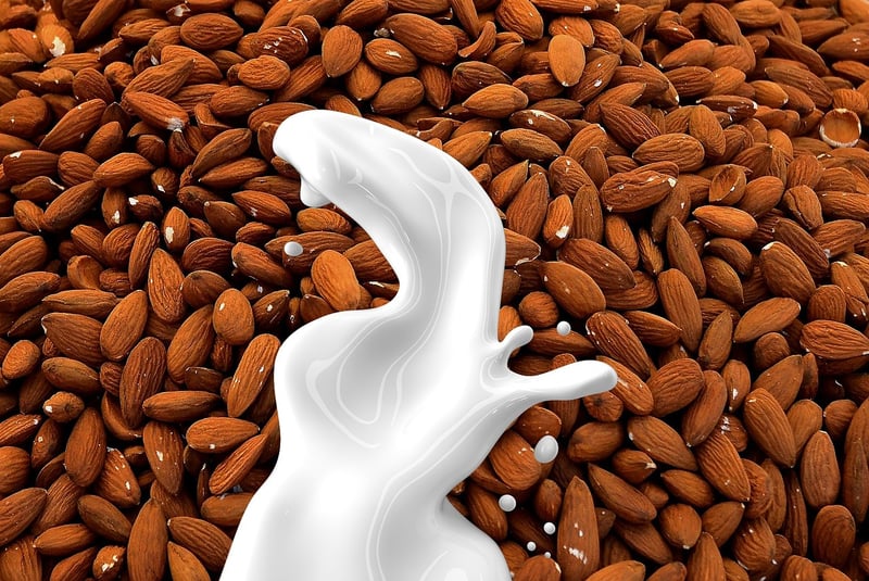 Vegan Alternatives